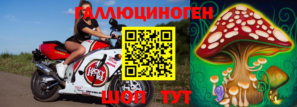 Псилоцибиновые грибы GOLDEN TEACHER Дмитров