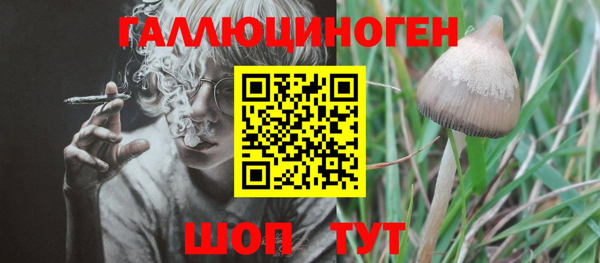 Псилоцибиновые грибы GOLDEN TEACHER  Вход с VPN  Дмитров 