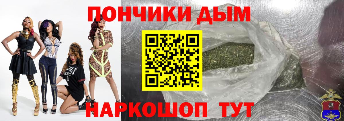 Бошки Шишки планчик Дмитров